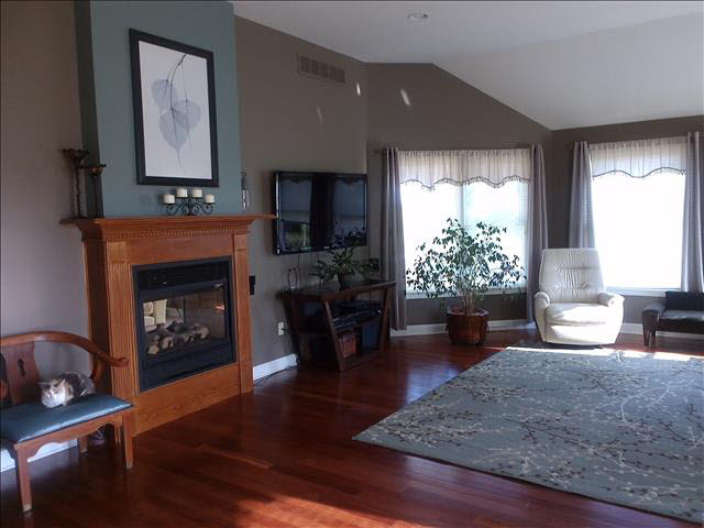 675 East Samaria Road Temperance, MI 48182 - Photo 6 of 20 Double fireplace