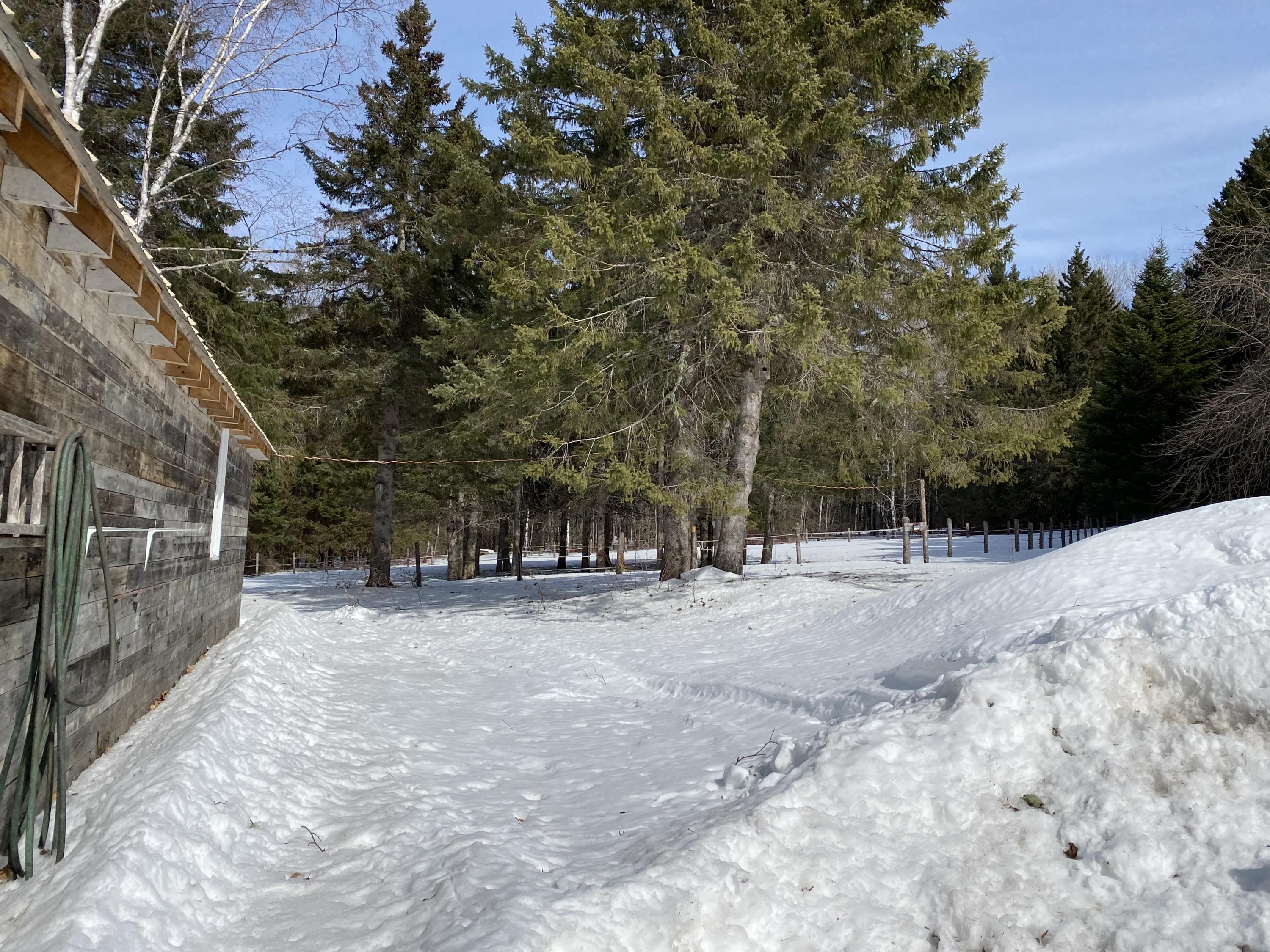 1123 W Road New Sweden, ME 04762 - Photo 51 of 61 1123 West Rd New Sweden 3-17-2021 (54)