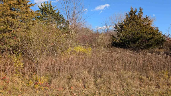 $25,000 | L18 Oak, Markesan, WI 53946