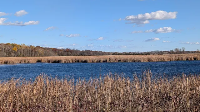 $25,000 | L18 Oak, Markesan, WI 53946