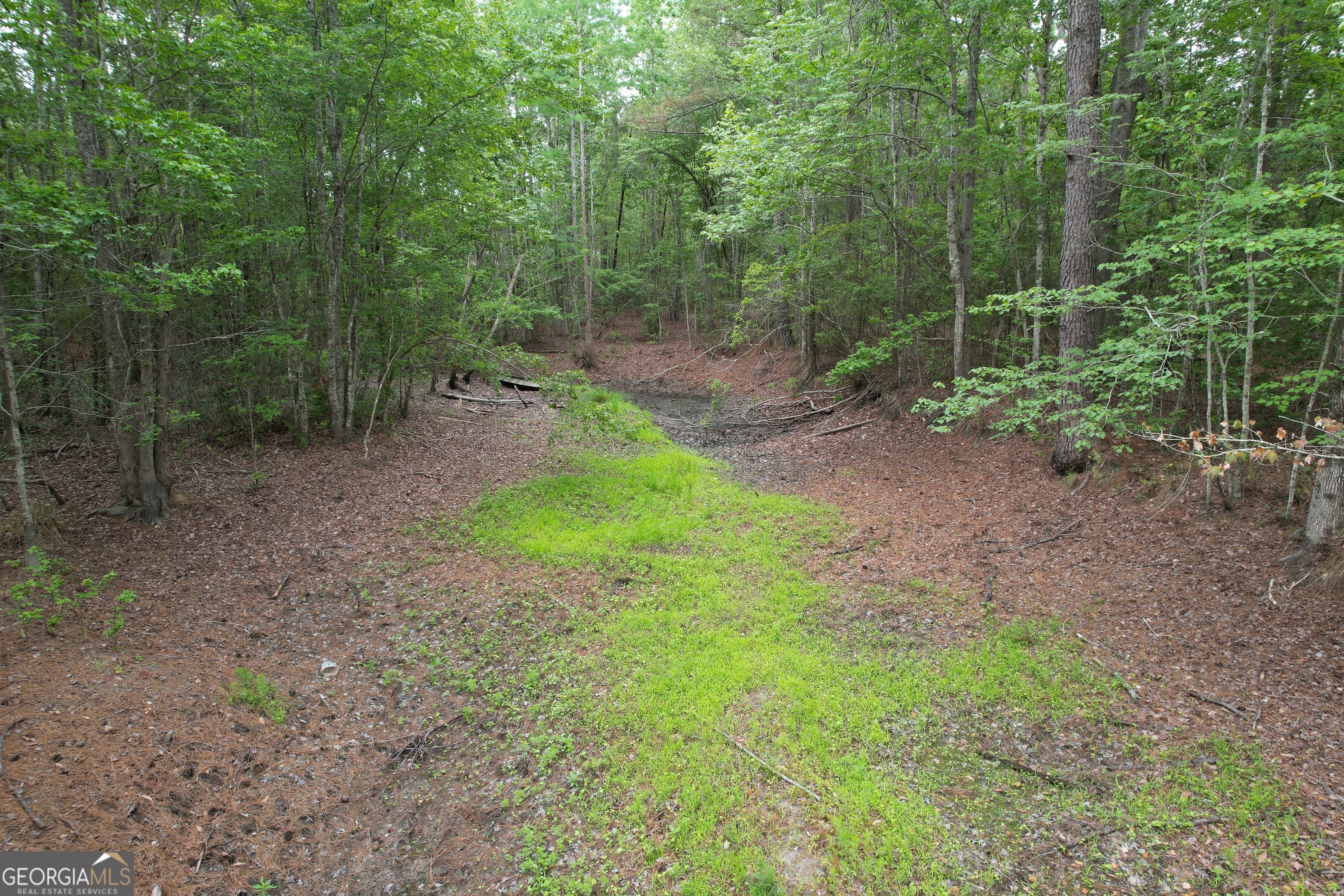 1.5-acres Mt Pleasant Road Clyo, GA 31303 - Photo 11 of 19