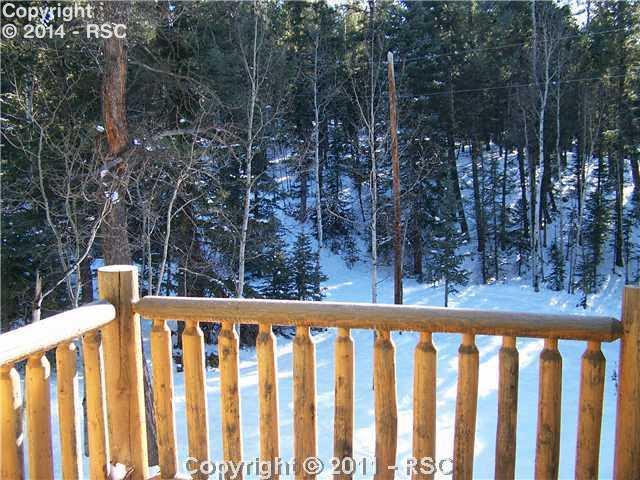 345 Kutsu Ridge Road Florissant, CO 80816 - Photo 14 of 16