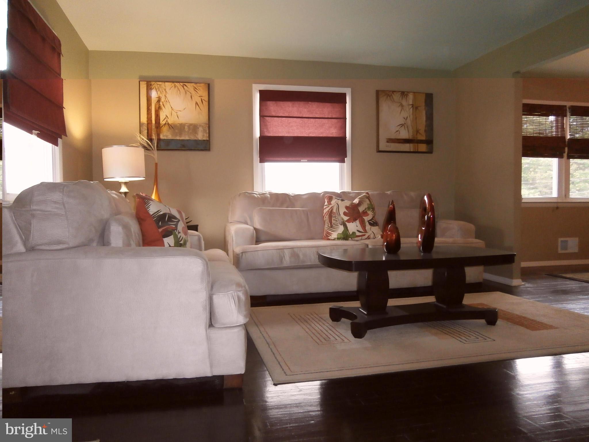 5636 Whitby Road Baltimore, MD 21206 - Photo 14 of 17 a living room with furniture and a potted plant on table