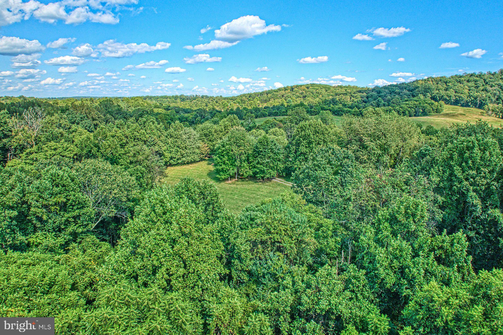 10420 Freeland Ridge Delaplane, VA 20144 - Photo 60 of 75 Gallery Image 60