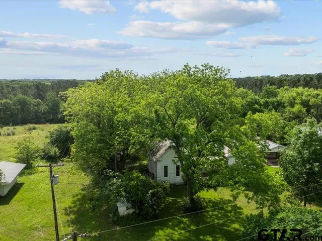 a view of a garden with plants and large trees