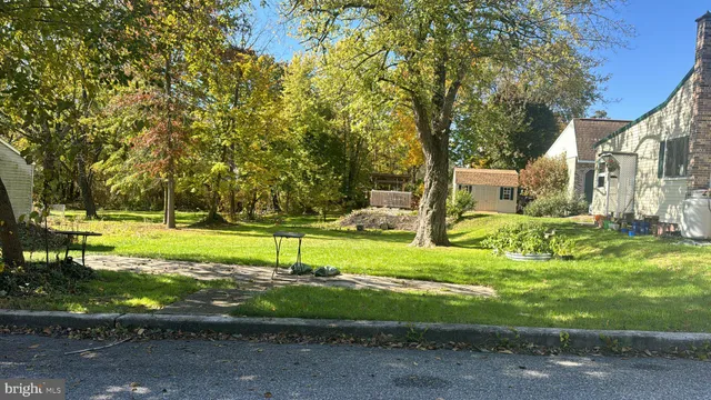 a view of a park with large trees