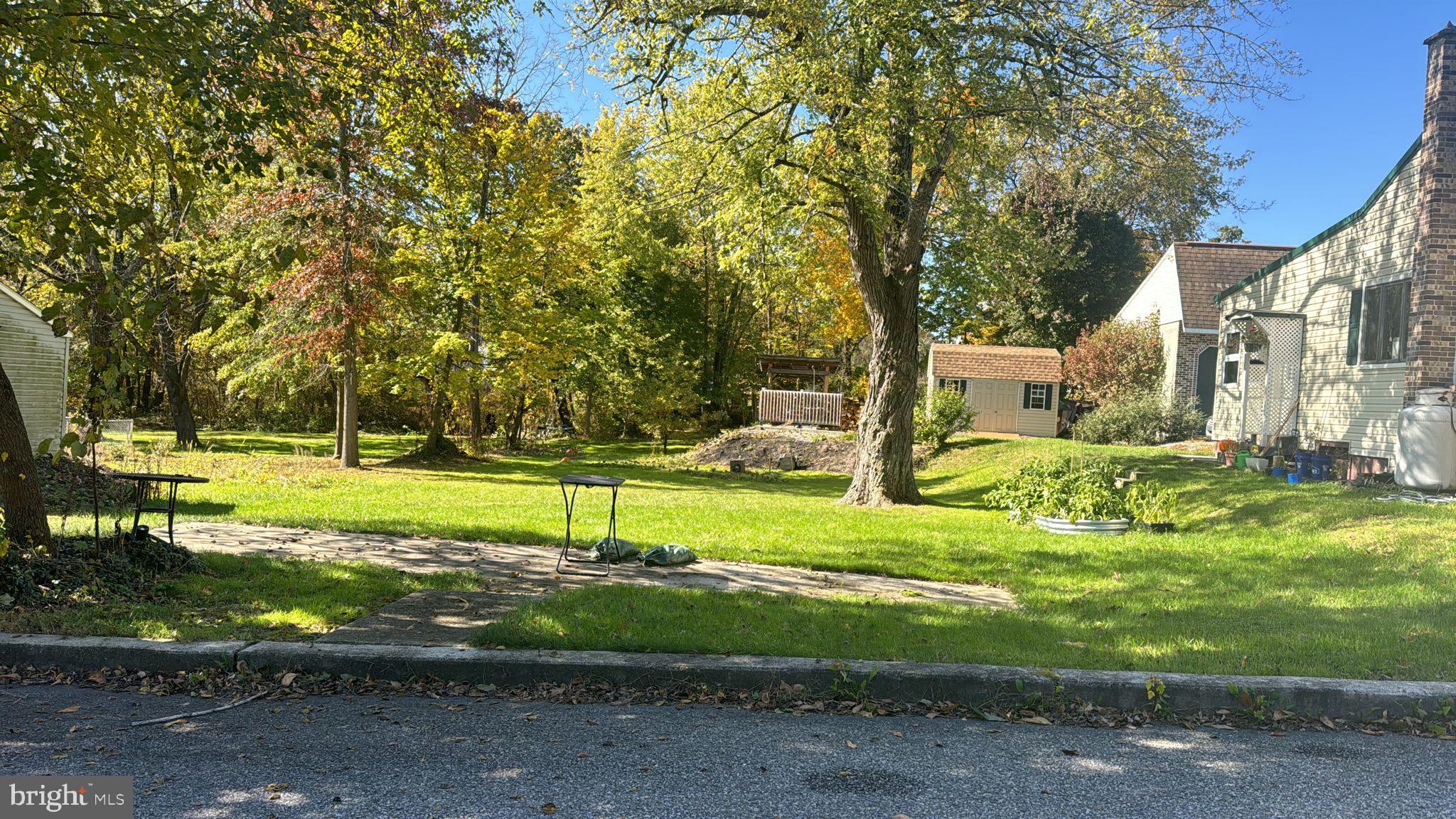 a view of a park with large trees