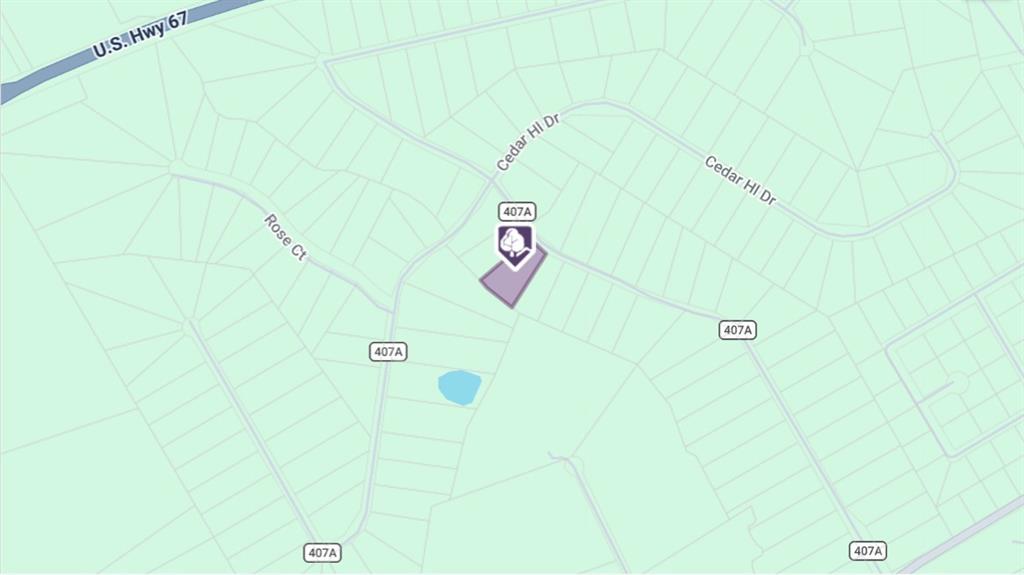 1081 County Road Nemo, TX 76070 - Photo 19 of 19 a bathroom with a shower