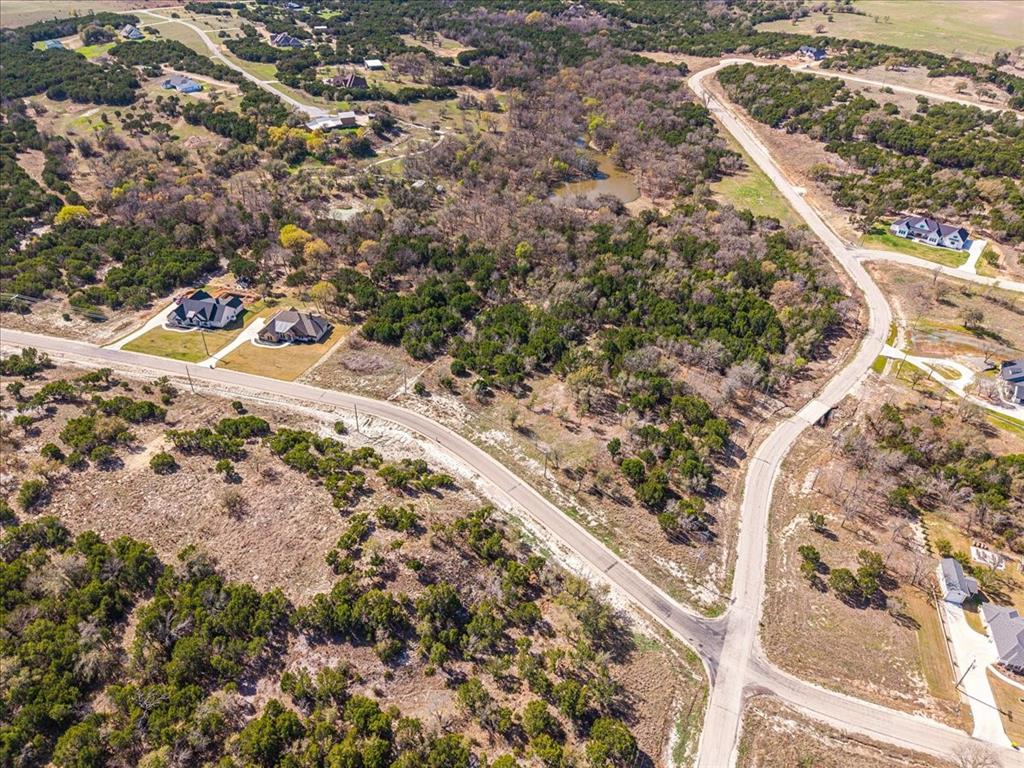 1081 County Road Nemo, TX 76070 - Photo 6 of 19 a view of a yard with wooden fence