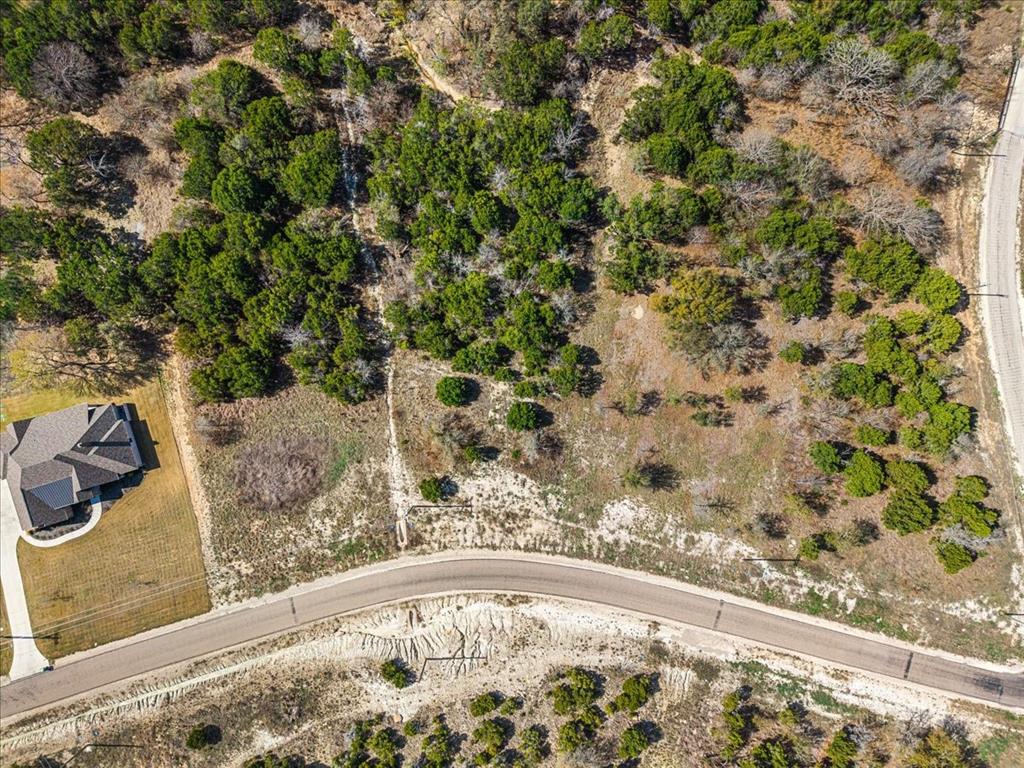 1081 County Road Nemo, TX 76070 - Photo 8 of 19 a view of a painting of a tree