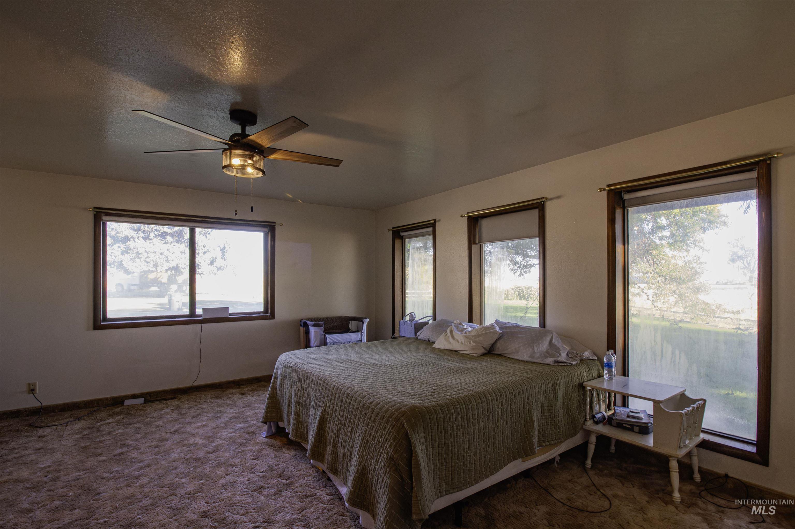 887 Overstreet Road Nyssa, OR 97913 - Photo 17 of 50 Carpeted bedroom featuring multiple windows, a ceiling fan, and a textured ceiling