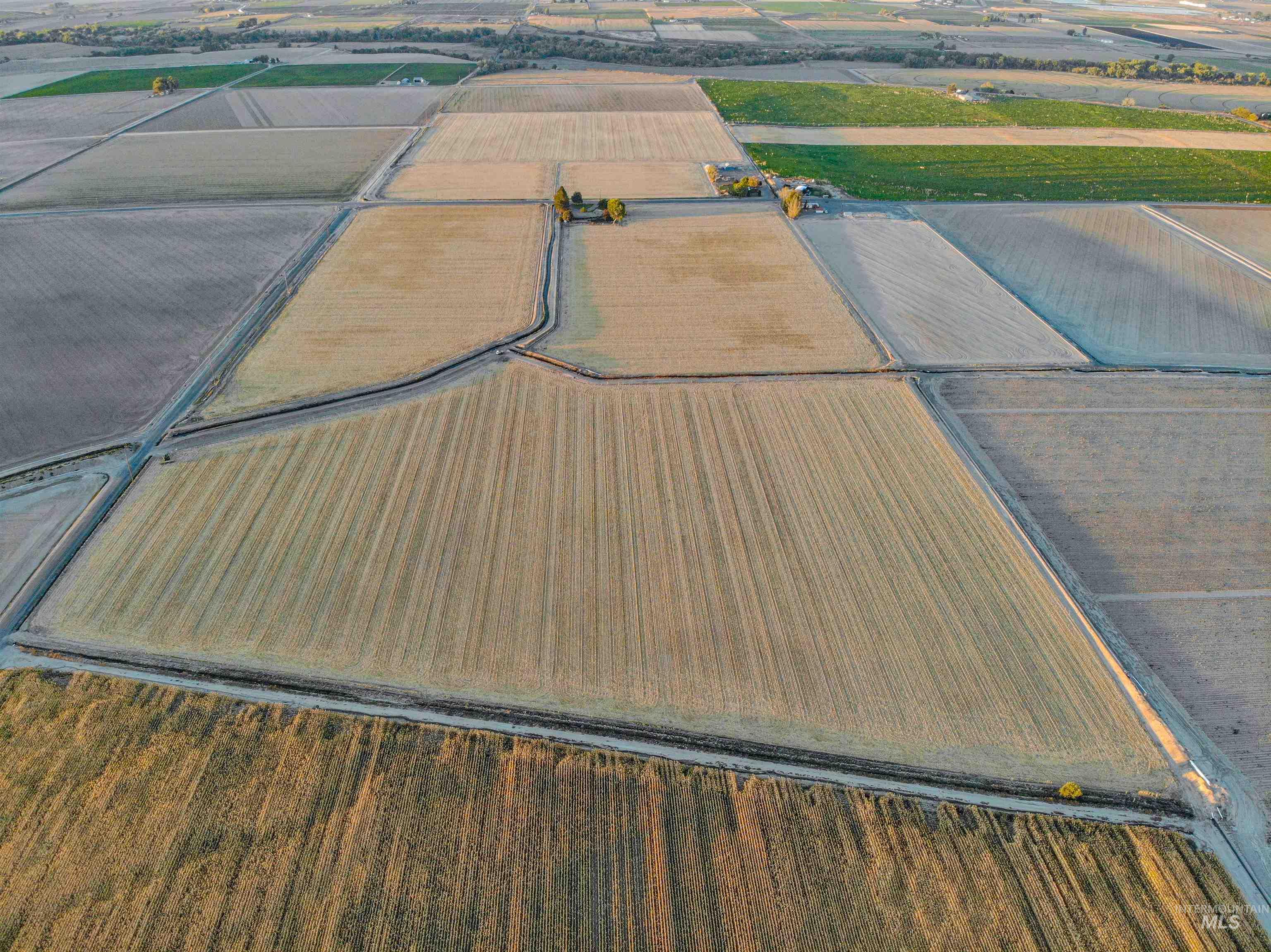887 Overstreet Road Nyssa, OR 97913 - Photo 49 of 50 Overview of rural landscape featuring farmland