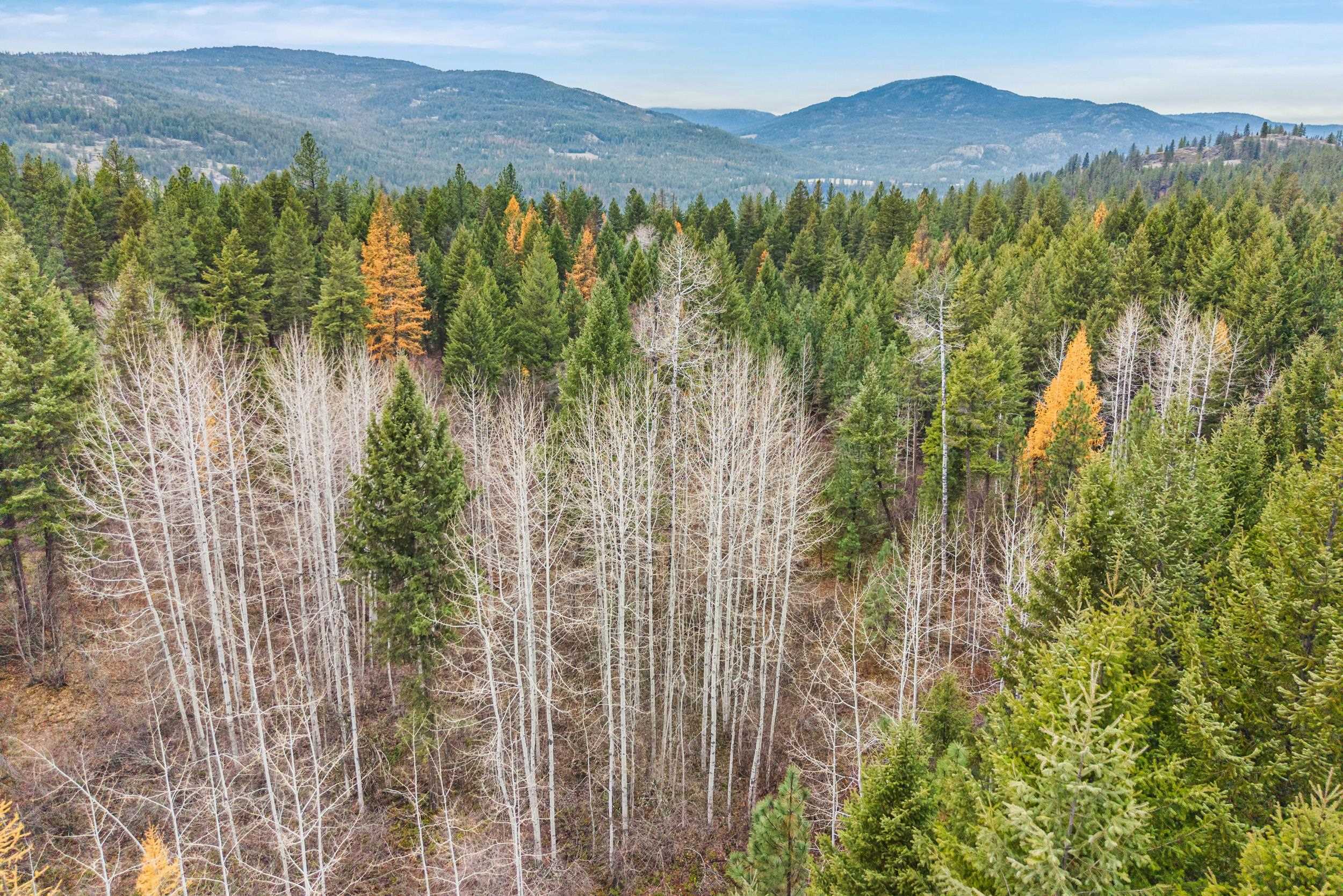 3-xxx Rockcut Road Kettle Falls, WA 99141 - Photo 11 of 22