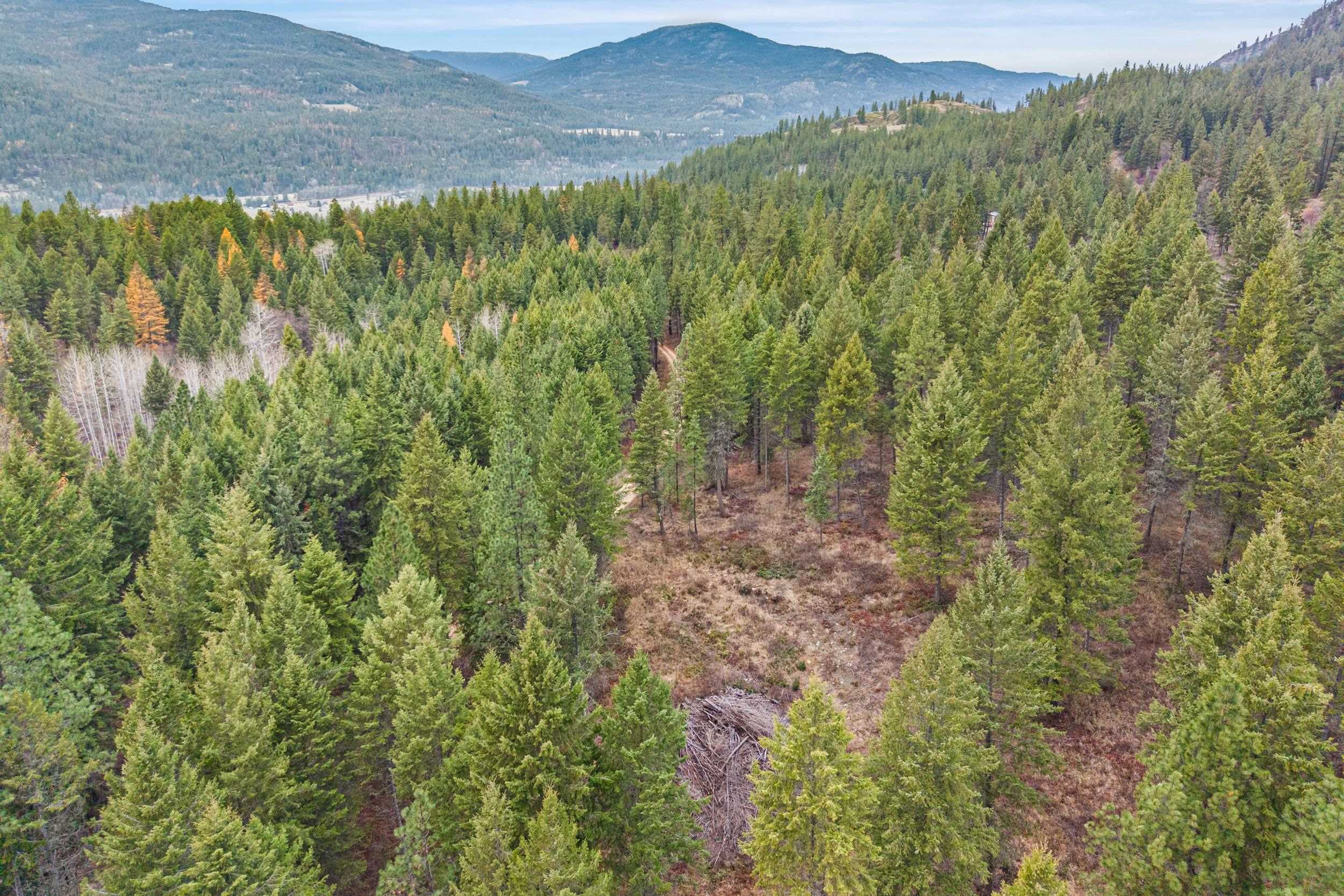 3-xxx Rockcut Road Kettle Falls, WA 99141 - Photo 13 of 22