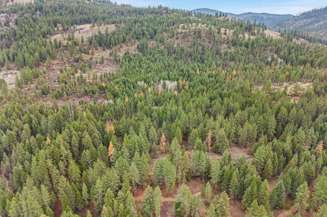 $149,999 | 3-xxx Rockcut Road, Kettle Falls, WA 99141