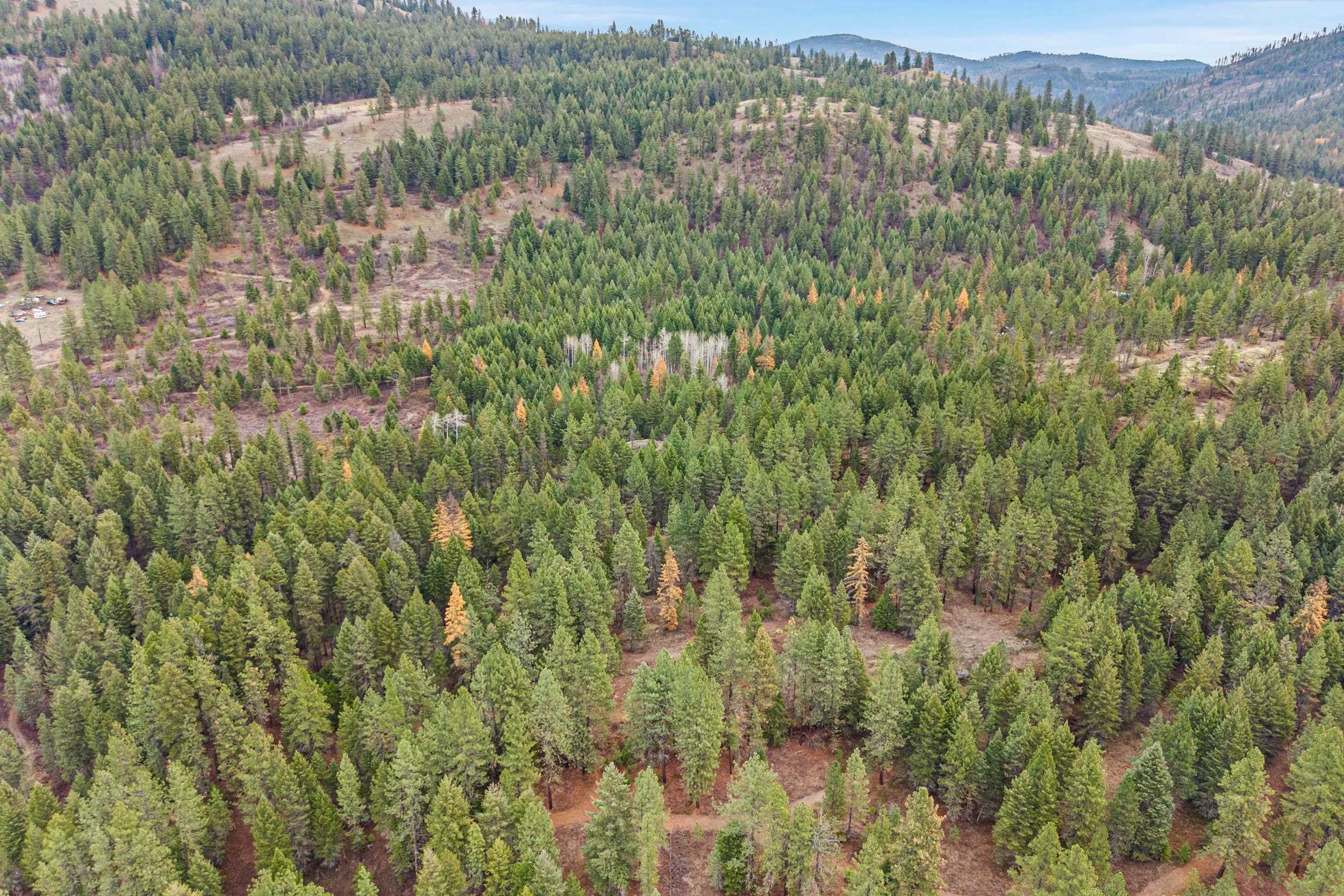 3-xxx Rockcut Road Kettle Falls, WA 99141 - Photo 14 of 22