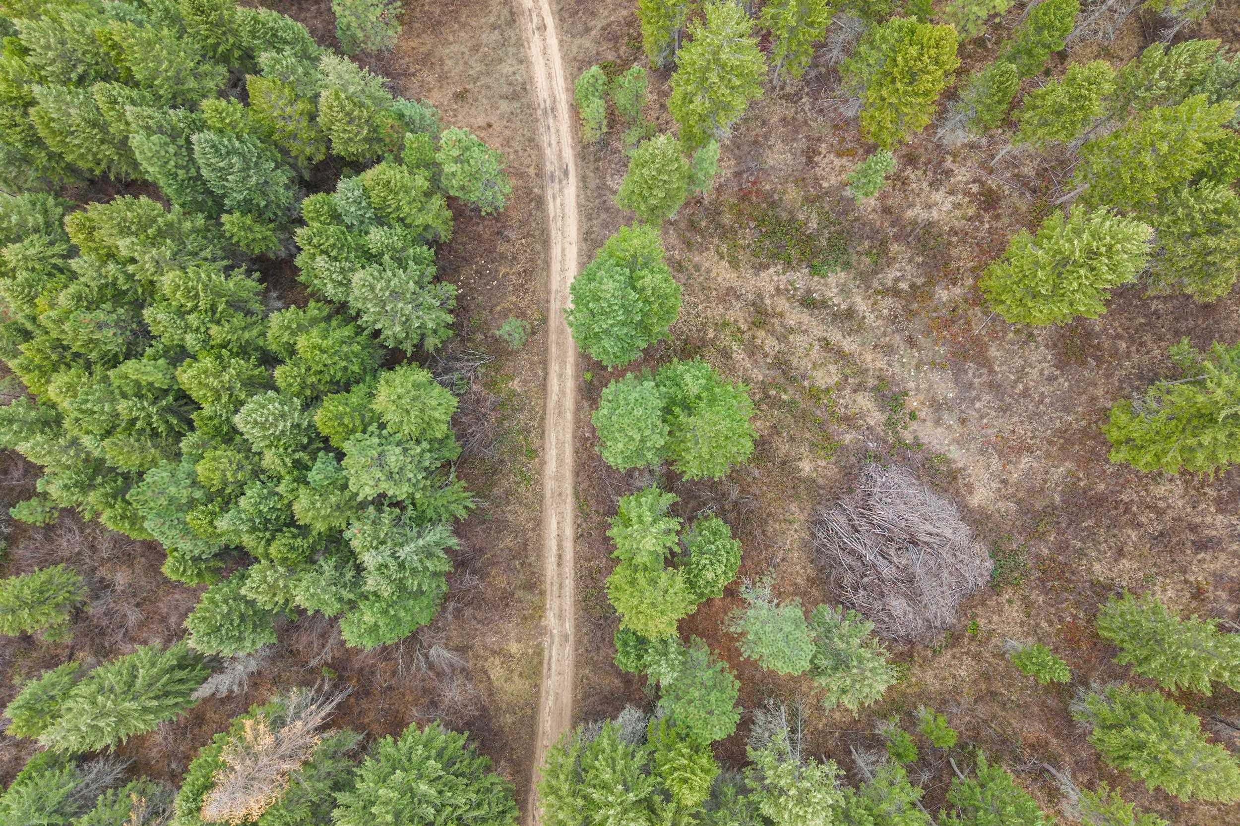 3-xxx Rockcut Road Kettle Falls, WA 99141 - Photo 16 of 22