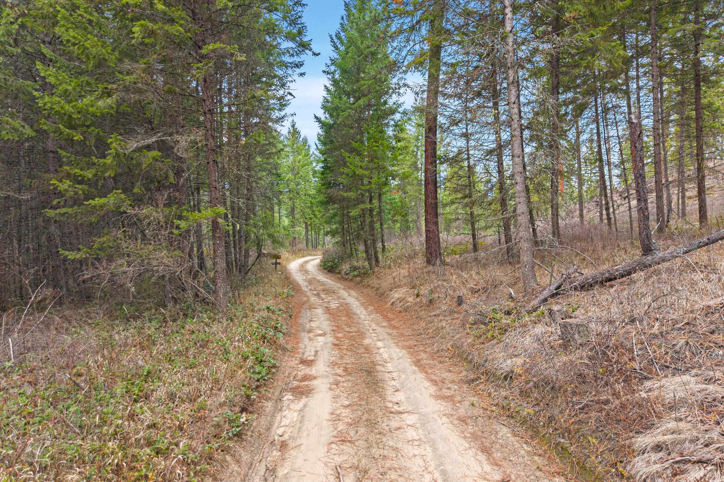3-xxx Rockcut Road Kettle Falls, WA 99141 - Photo 17 of 22
