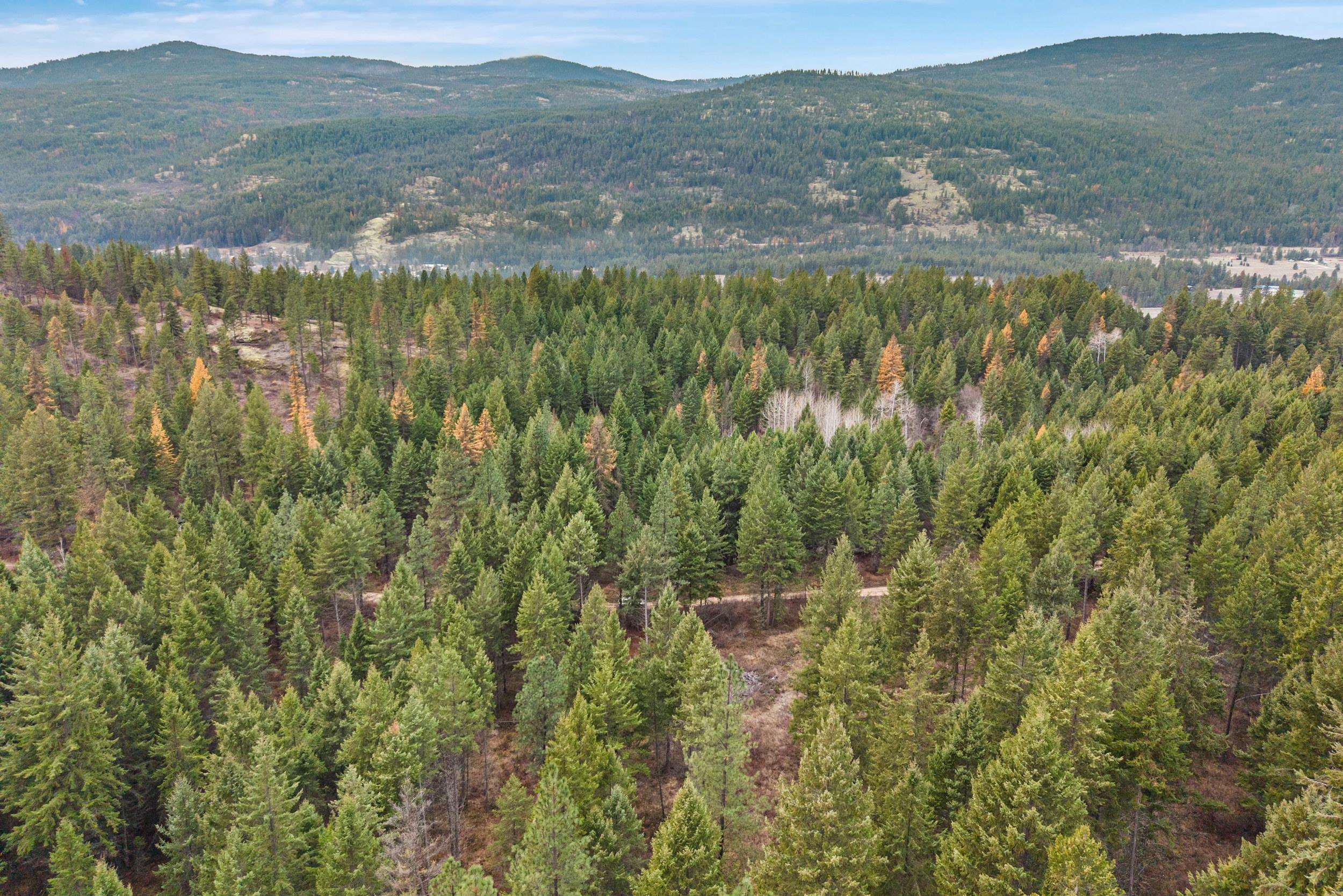 3-xxx Rockcut Road Kettle Falls, WA 99141 - Photo 4 of 22