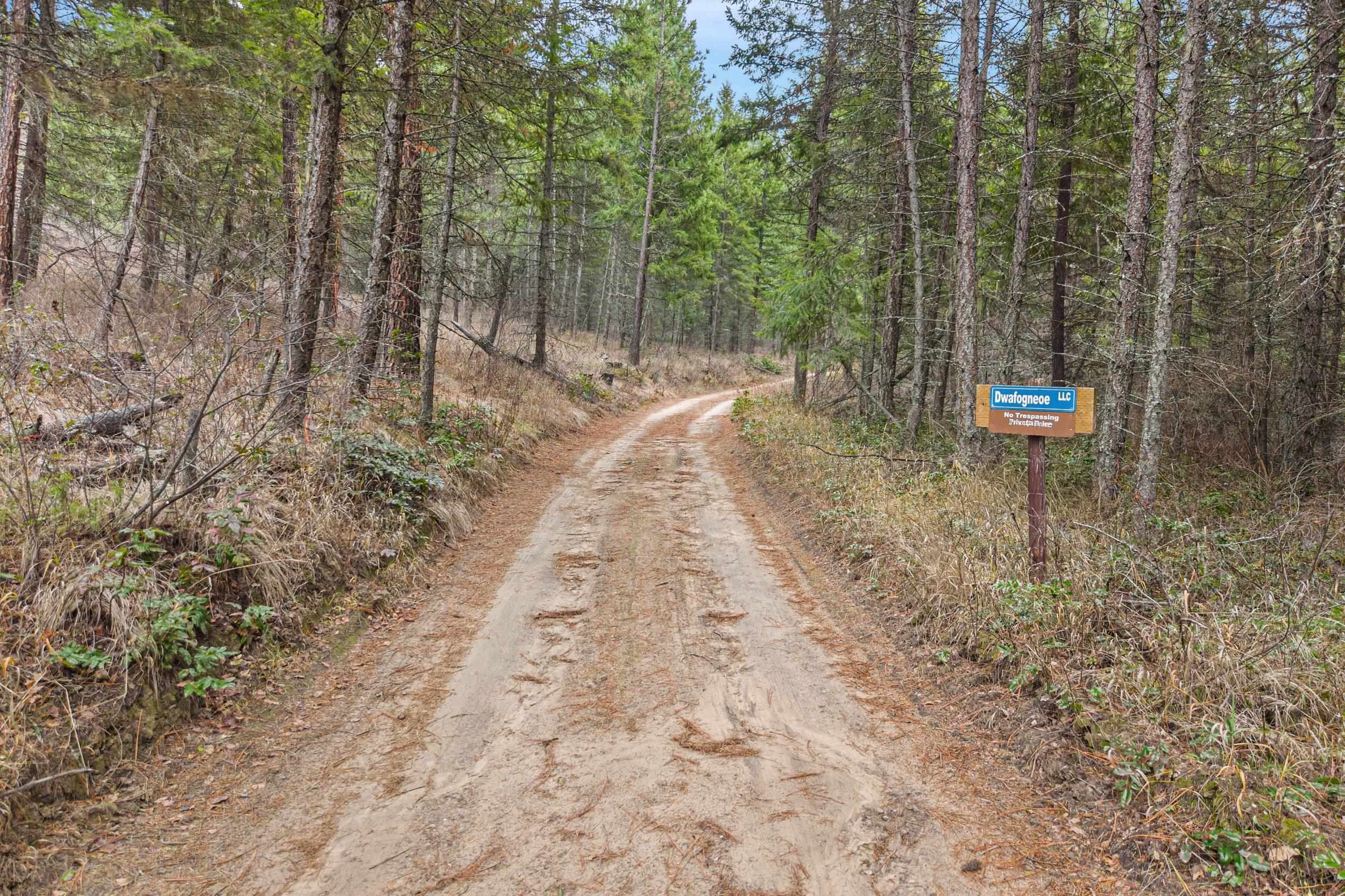 3-xxx Rockcut Road Kettle Falls, WA 99141 - Photo 5 of 22