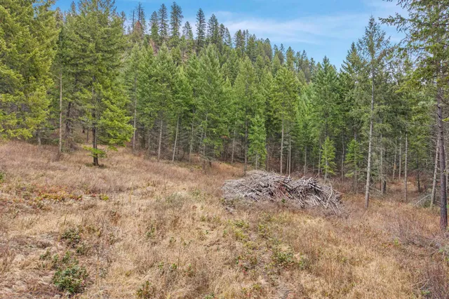 $139,999 | 3-xxx Rockcut Road, Kettle Falls, WA 99141