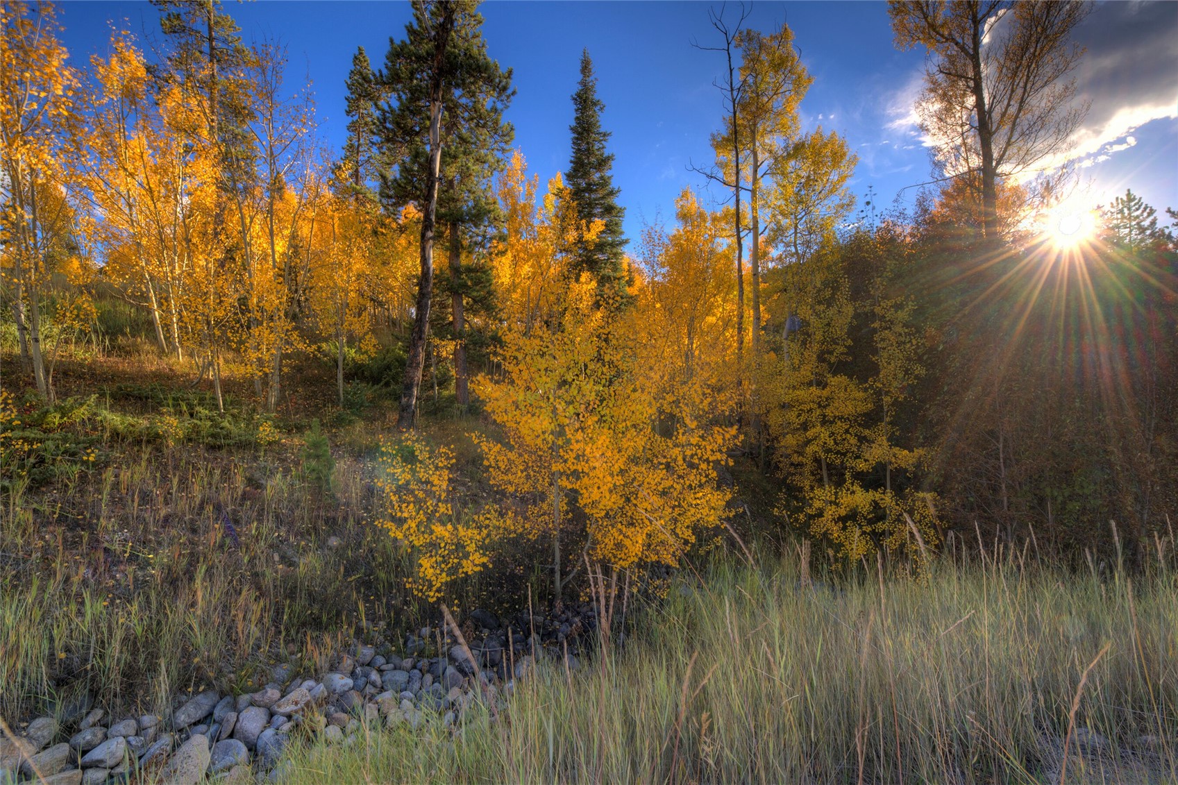 285 Game Trail Road Silverthorne, CO 80498 - Photo 2 of 6 amazing building site