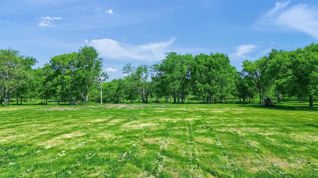 695 Mackey Road Howe, TX 75459 - Photo 24 of 30 a green field with lots of trees in the background