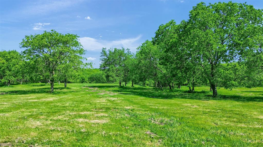 695 Mackey Road Howe, TX 75459 - Photo 25 of 30 a green field with lots of trees in it