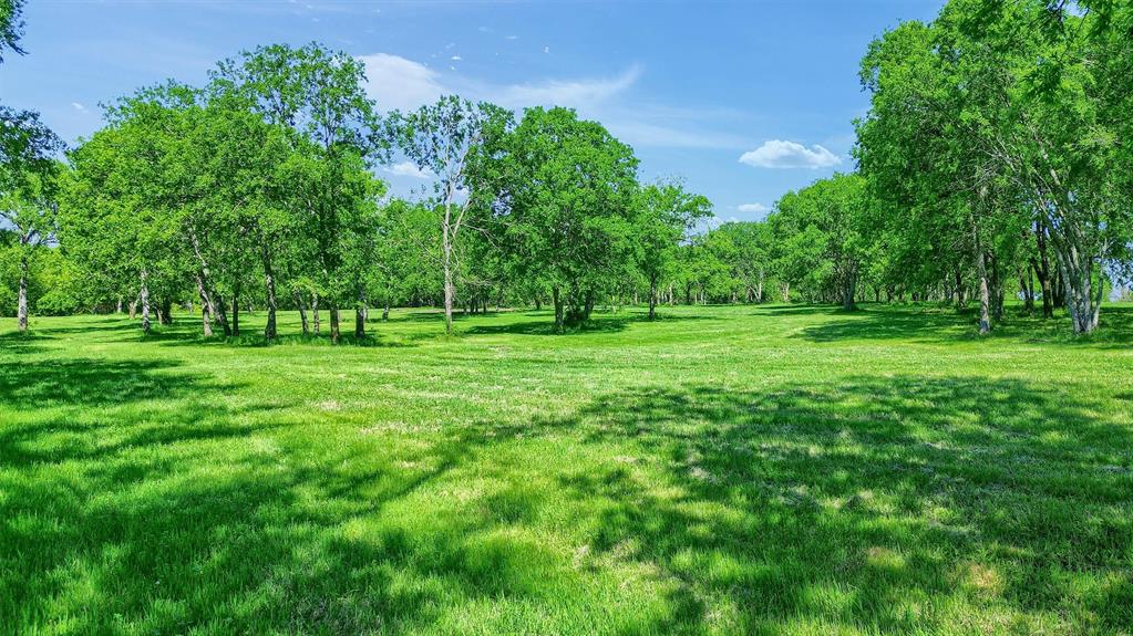 695 Mackey Road Howe, TX 75459 - Photo 5 of 30 a view of a grassy field with trees