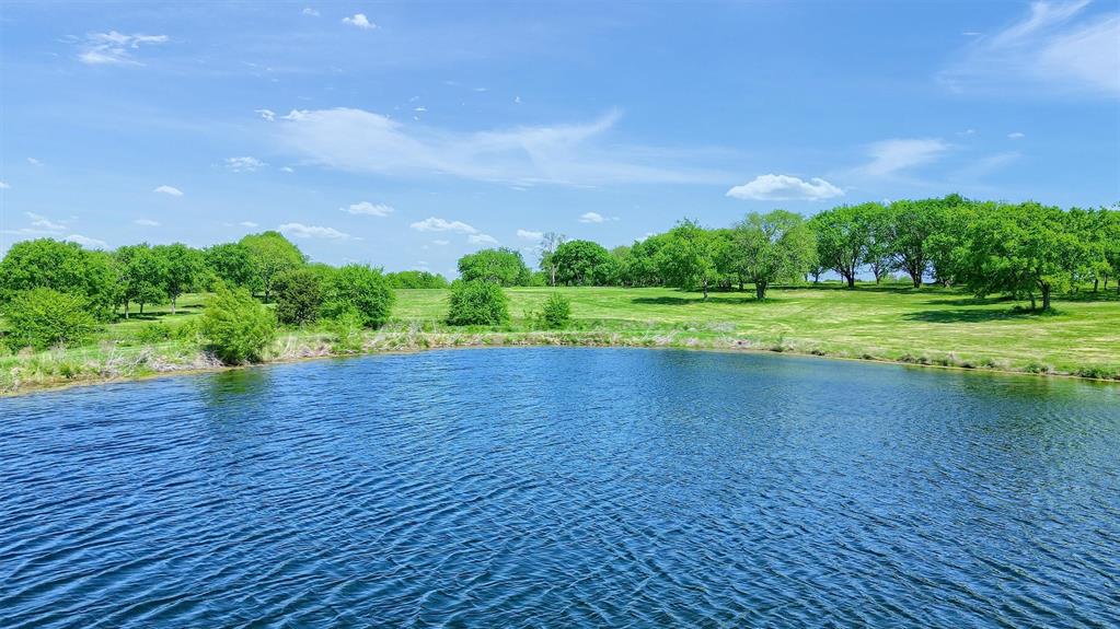 695 Mackey Road Howe, TX 75459 - Photo 6 of 30 a view of a big yard with large trees