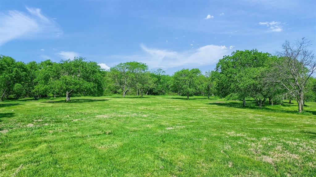 695 Mackey Road Howe, TX 75459 - Photo 7 of 30 a view of a grassy field with trees in the background