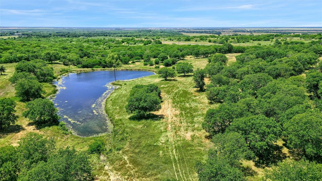 695 Mackey Road Howe, TX 75459 - Photo 9 of 30 a view of a garden