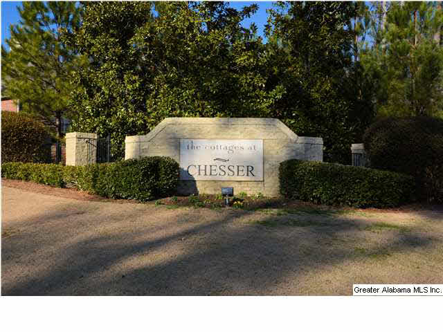 206 Chesser Loop Road Chelsea, AL 35043 - Photo 32 of 32 Gallery Image 32