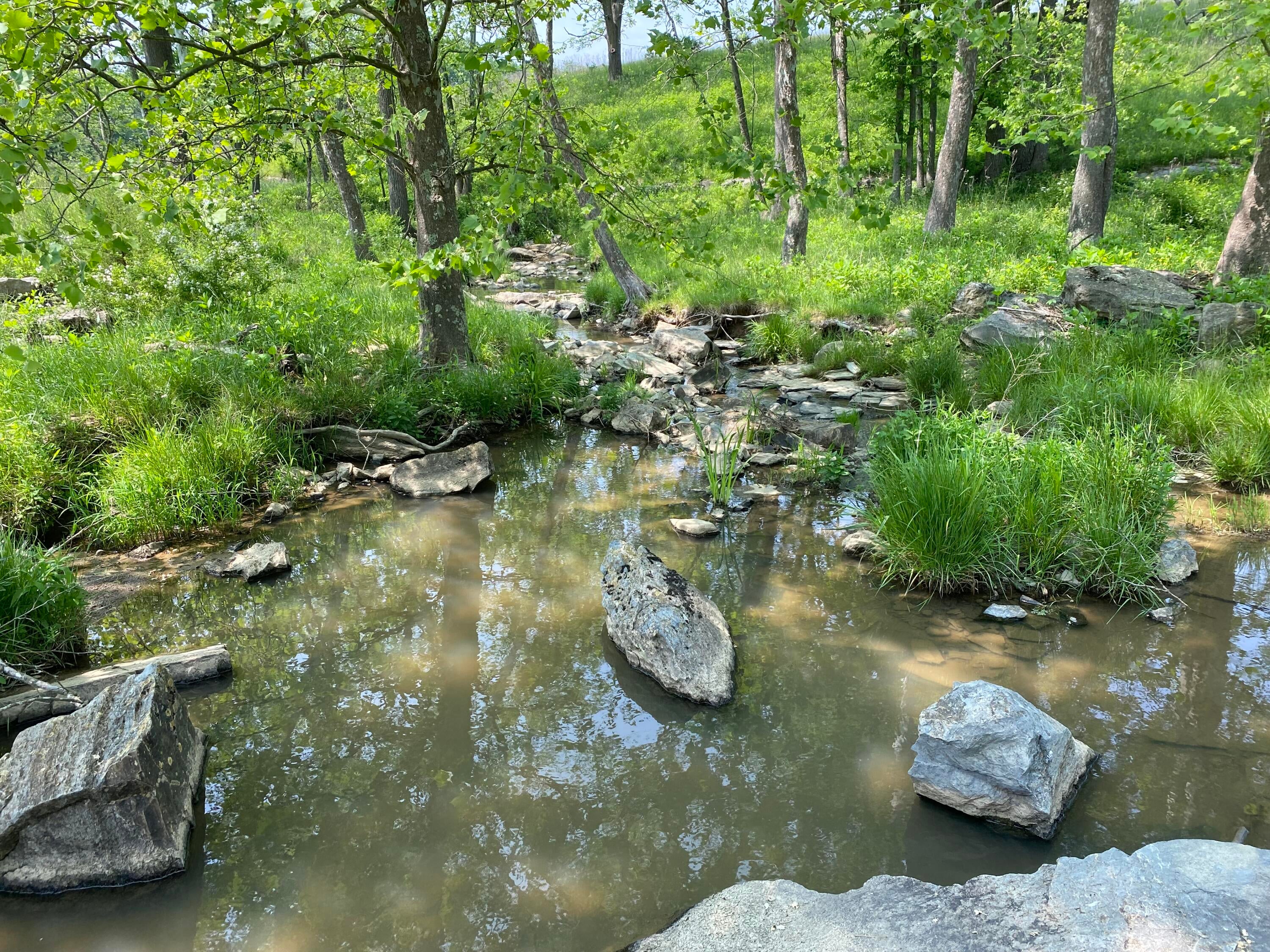 106 Creamery Road Pence Springs, WV 24962 - Photo 141 of 153 Gallery Image 141