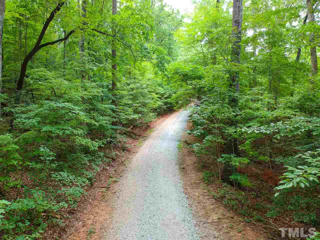 8925 Ball Road Bahama, NC 27503 - Photo 26 of 28 a view of a forest with trees