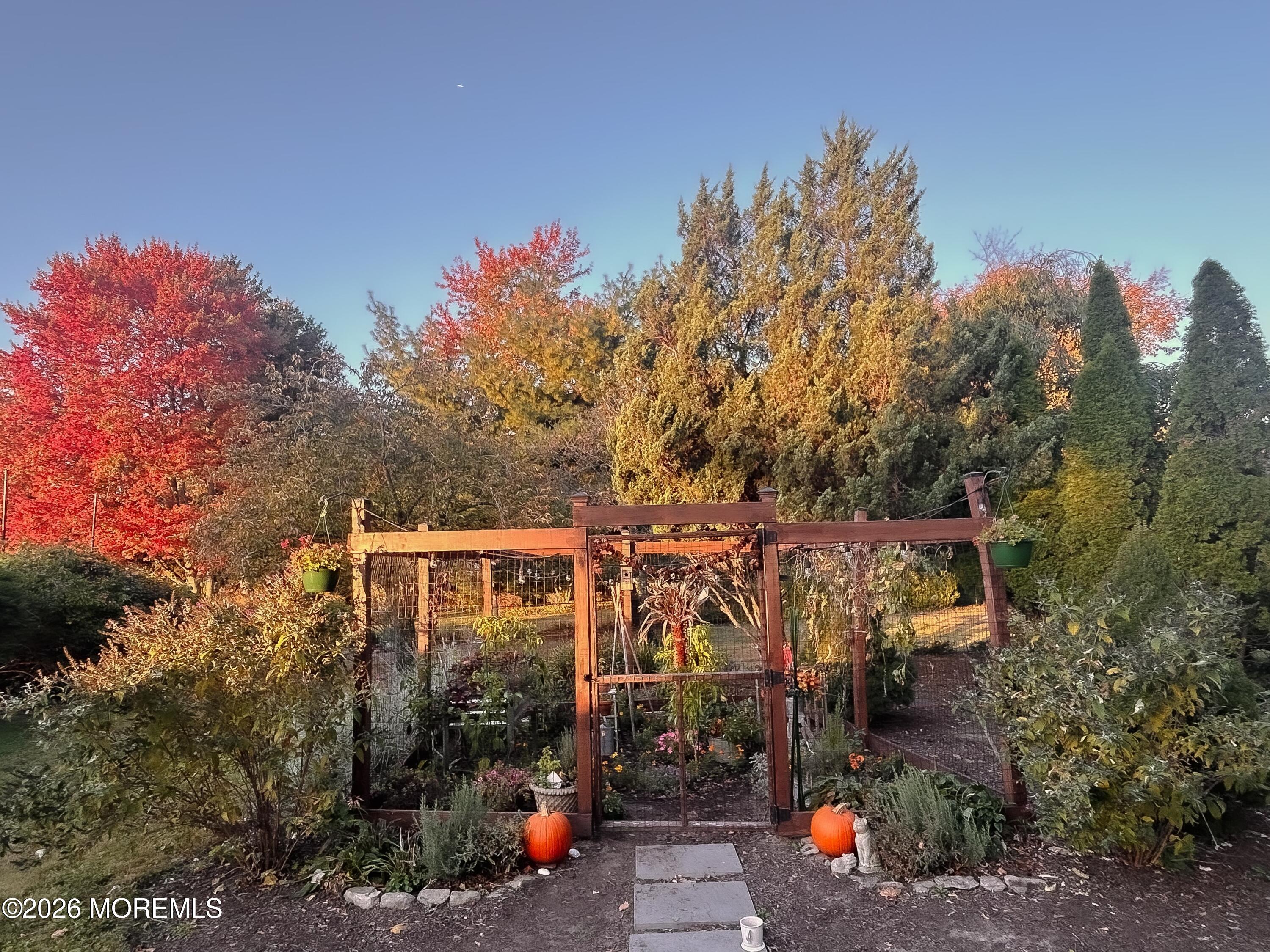 106 Rumson Road Little Silver, NJ 07739 - Photo 47 of 59 Rear Patio