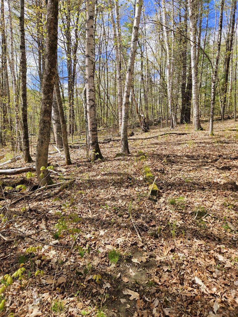 Lot 23 Edes Brook Road Temple, ME 04984 - Photo 3 of 4 20260511_103549