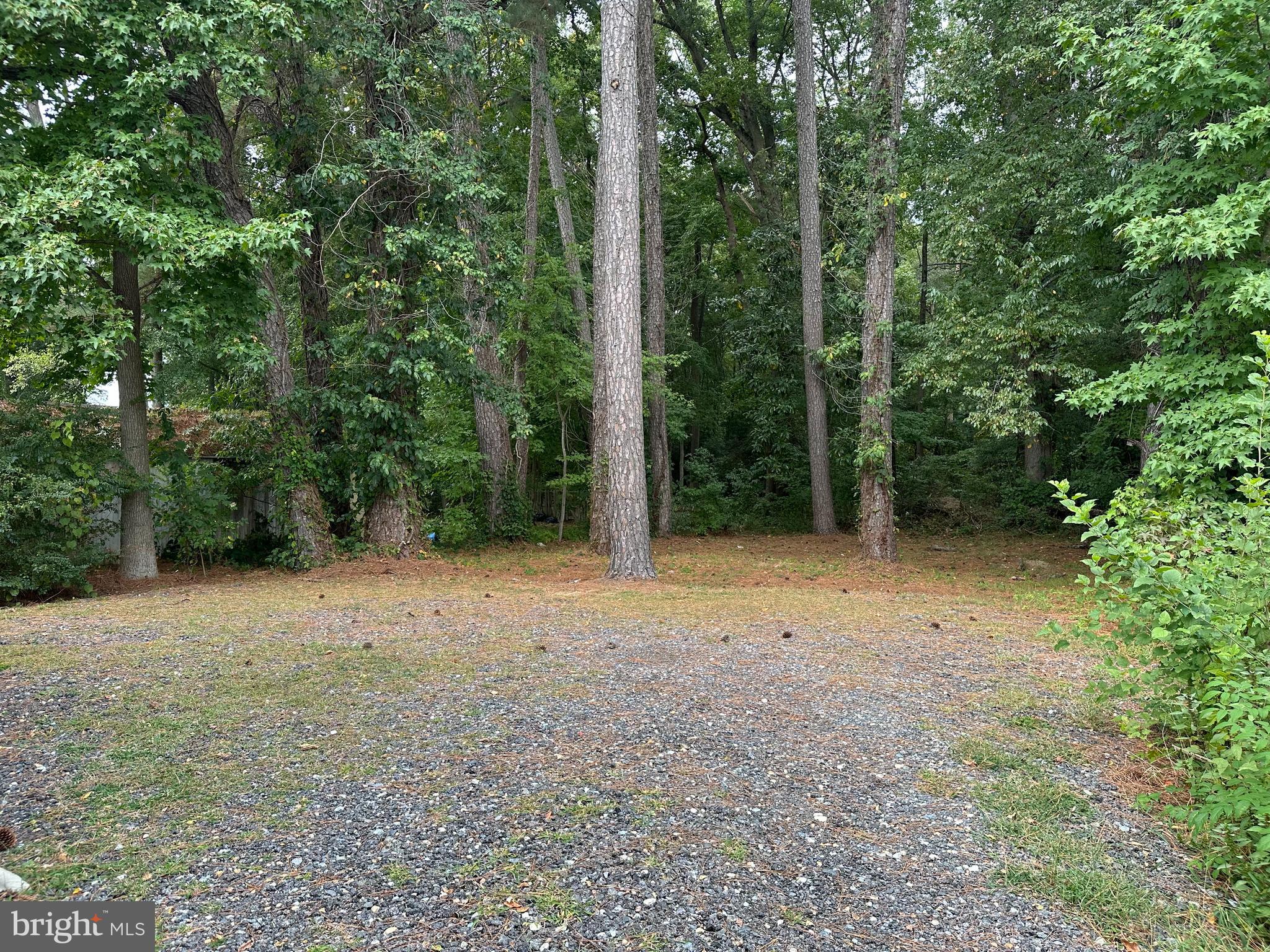 1105 Market Street Denton, MD 21629 - Photo 20 of 29