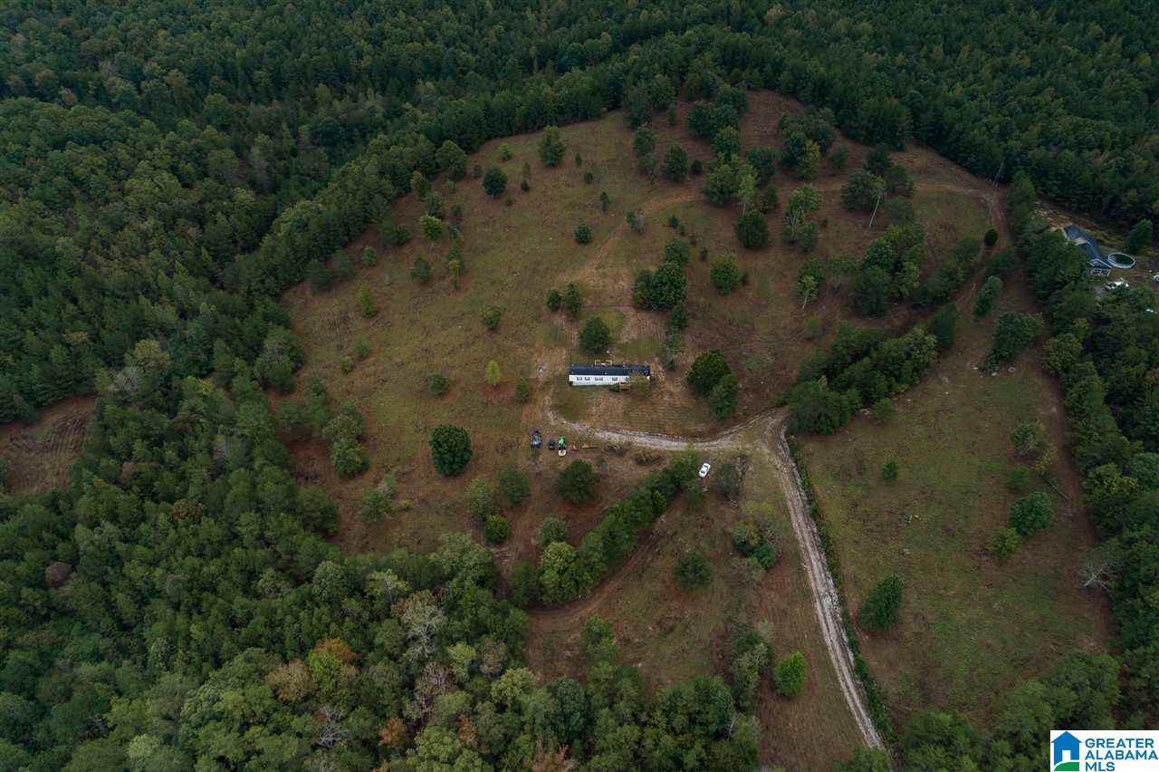320 House Road Remlap, AL 35133 - Photo 31 of 35 Gallery Image 31