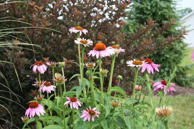 $409,000 | 2252 Highlander Drive, Warsaw, IN 46580