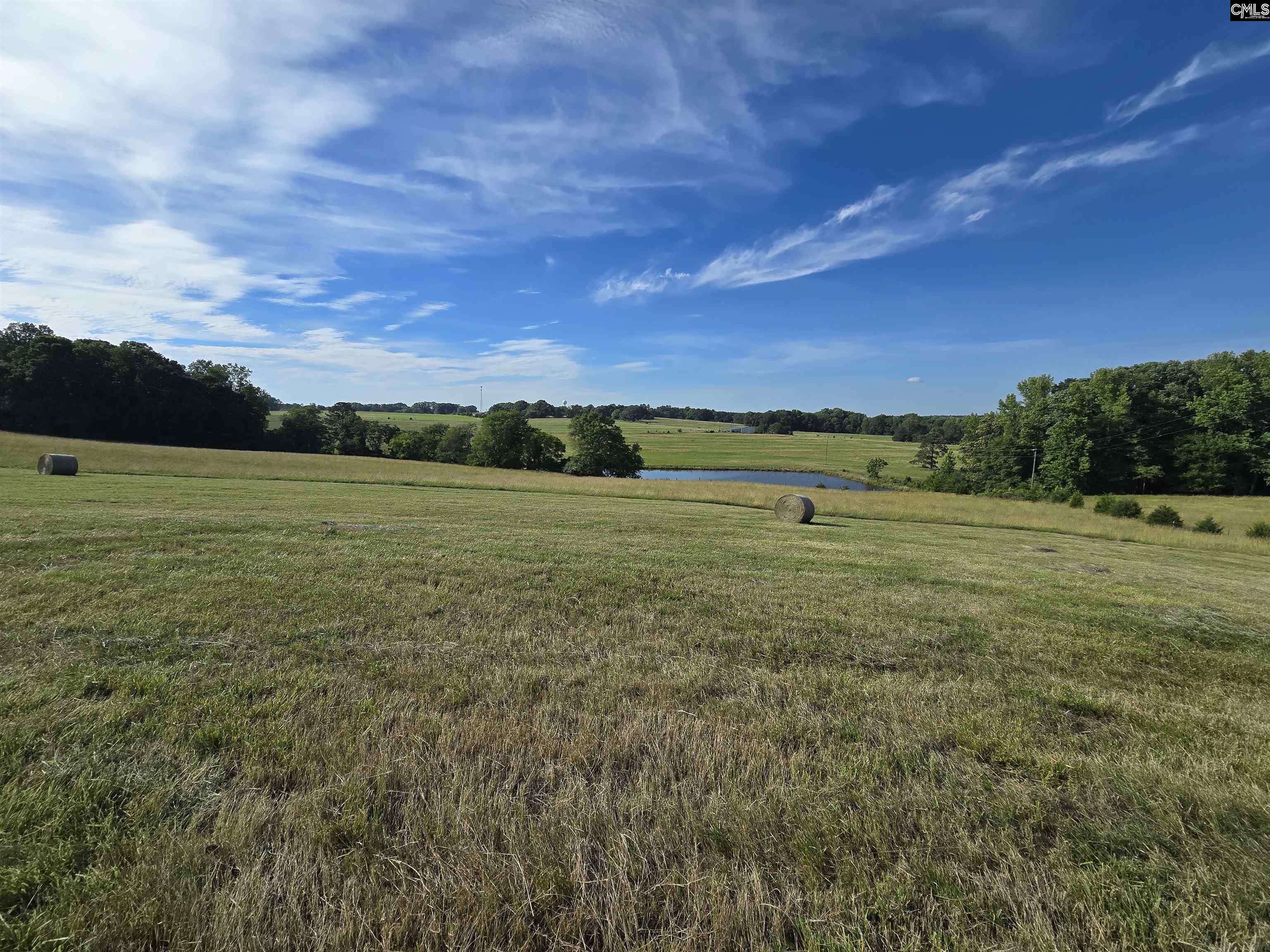 542 Pea Ridge Highway Jonesville, SC 29353 - Photo 71 of 72