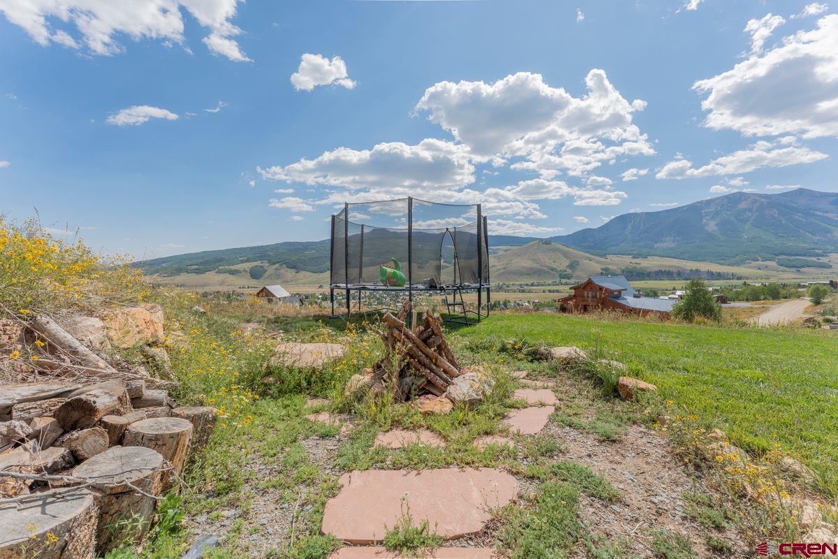 334 Anderson Drive Crested Butte, CO 81224 - Photo 34 of 45 a view of a garden