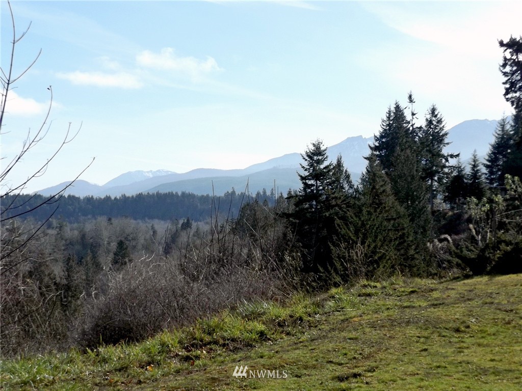 9999 Hunt Road Port Angeles, WA 98363 - Photo 2 of 23 Gallery Image 2