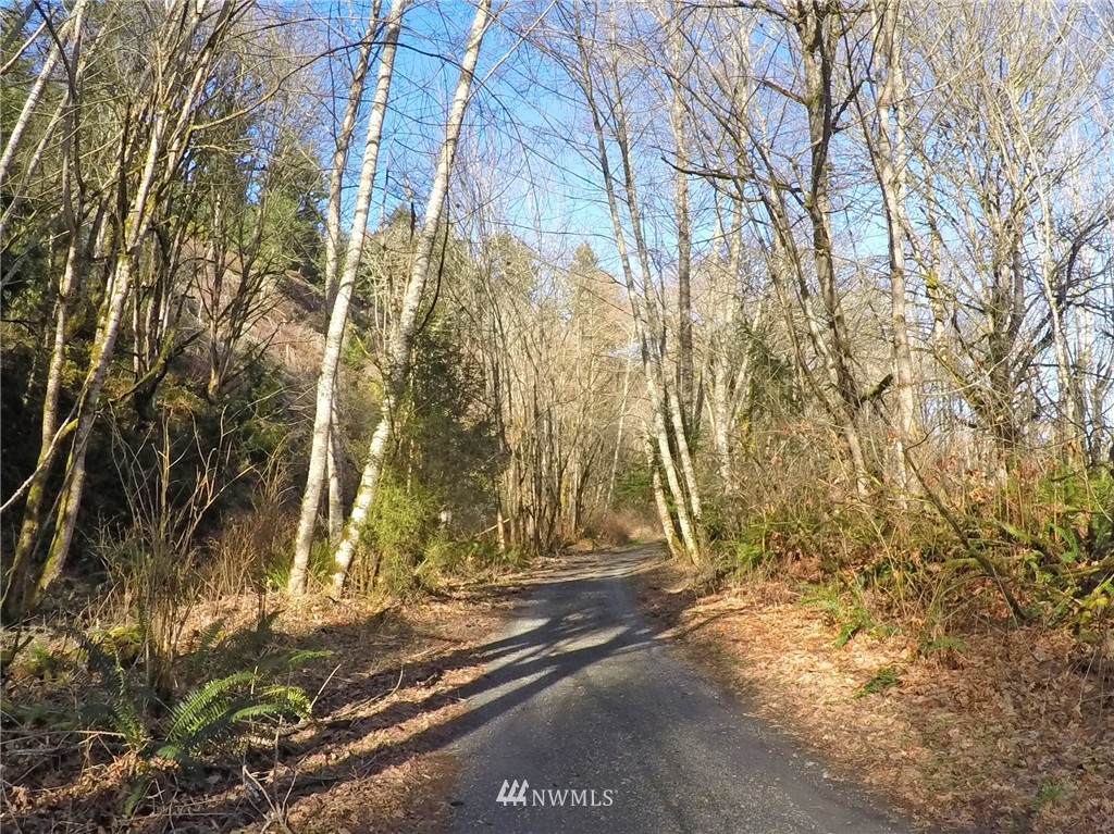 9999 Hunt Road Port Angeles, WA 98363 - Photo 16 of 23 Gallery Image 16