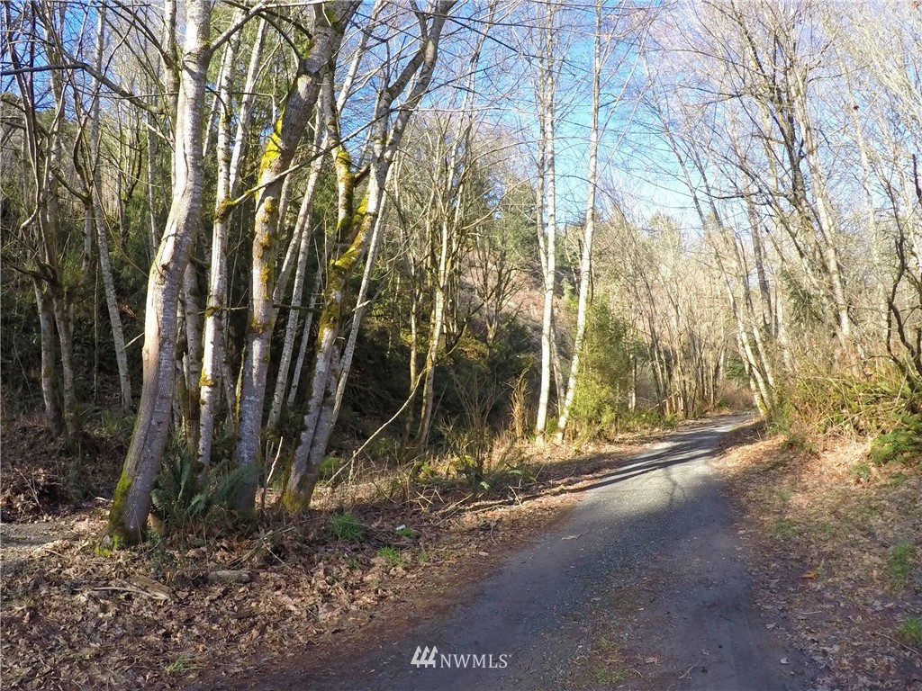9999 Hunt Road Port Angeles, WA 98363 - Photo 17 of 23 Gallery Image 17