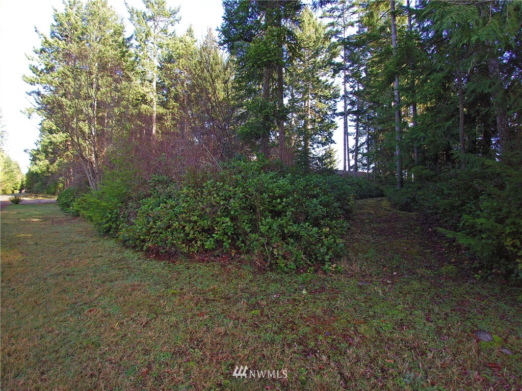 9999 Hunt Road Port Angeles, WA 98363 - Photo 20 of 23 Gallery Image 20