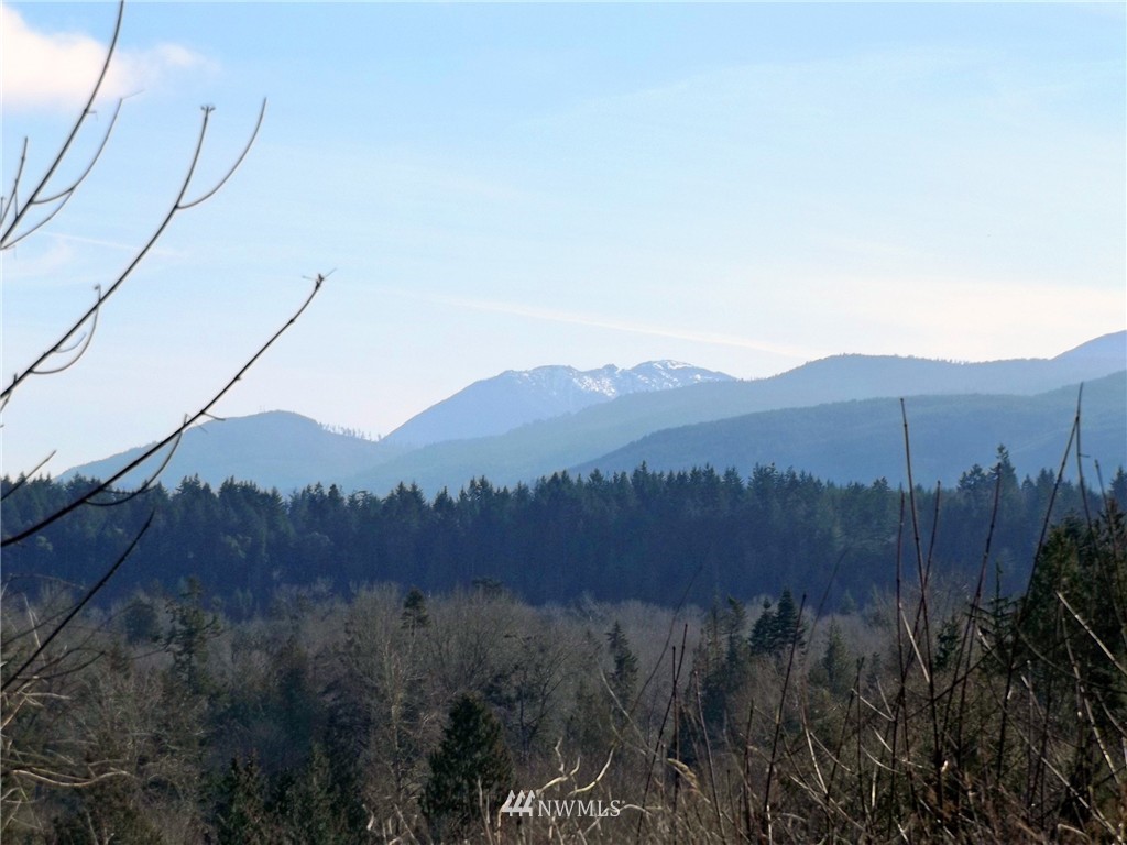 9999 Hunt Road Port Angeles, WA 98363 - Photo 3 of 23 Gallery Image 3