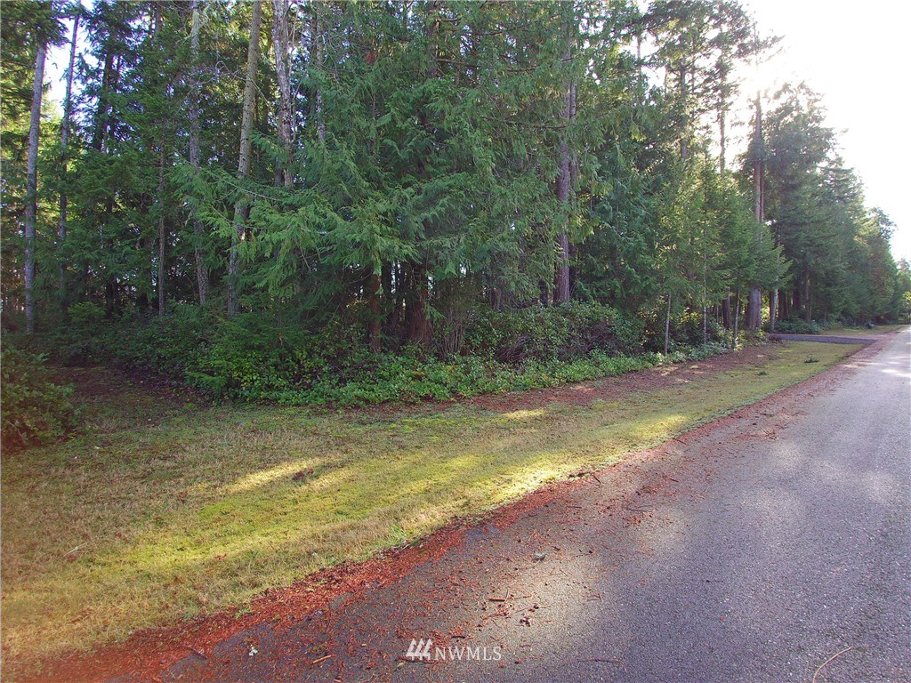 9999 Hunt Road Port Angeles, WA 98363 - Photo 21 of 23 Gallery Image 21