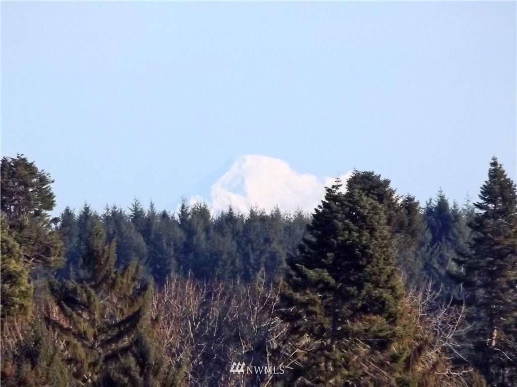 9999 Hunt Road Port Angeles, WA 98363 - Photo 7 of 23 Gallery Image 7