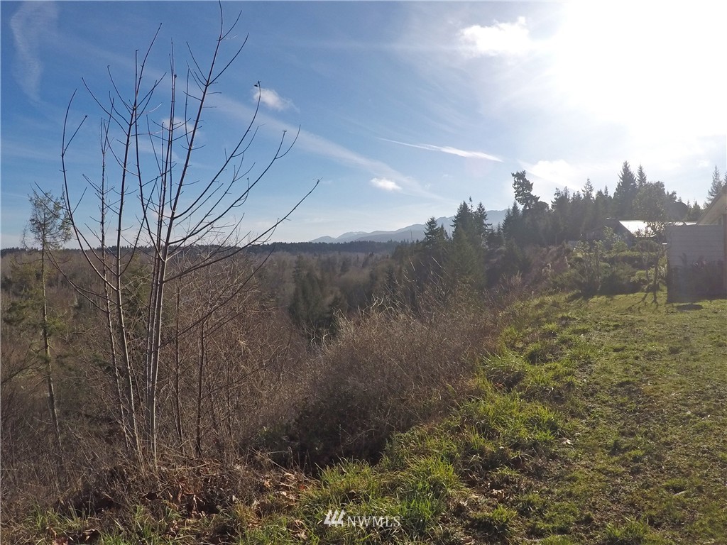 9999 Hunt Road Port Angeles, WA 98363 - Photo 10 of 23 Gallery Image 10